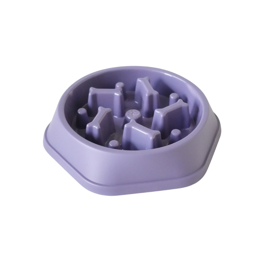 Slow Pet Feeder Non Slip Bowl